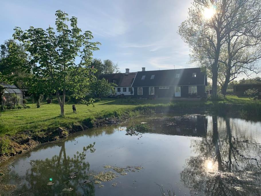 Villa Kongsholmlund - Silent Retreat Vejby Exterior foto